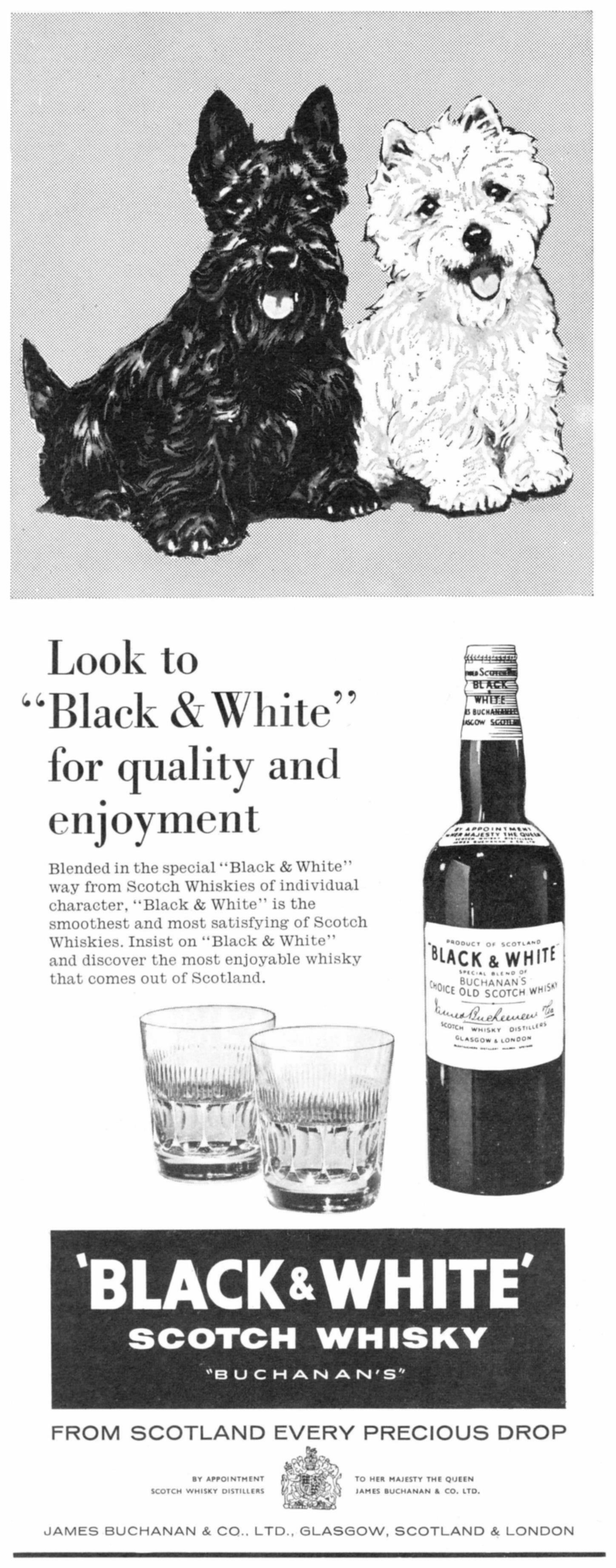 Black & White 1964 0.jpg